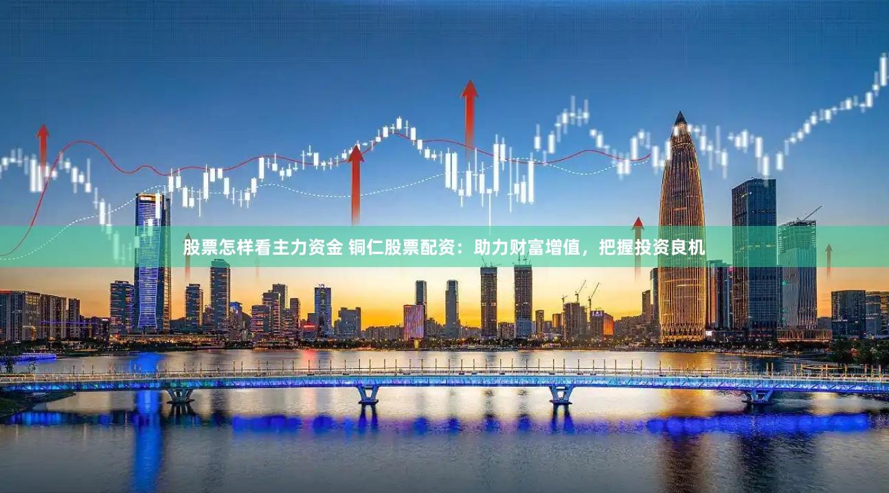 股票怎样看主力资金 铜仁股票配资：助力财富增值，把握投资良机