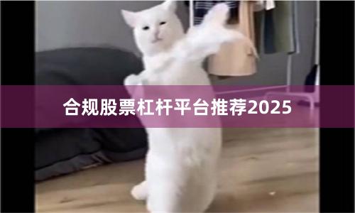 合规股票杠杆平台推荐2025